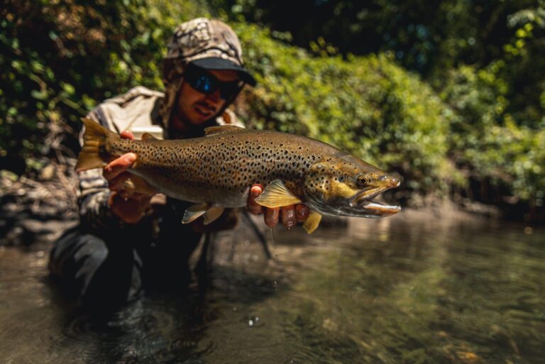 Spain trout fishing