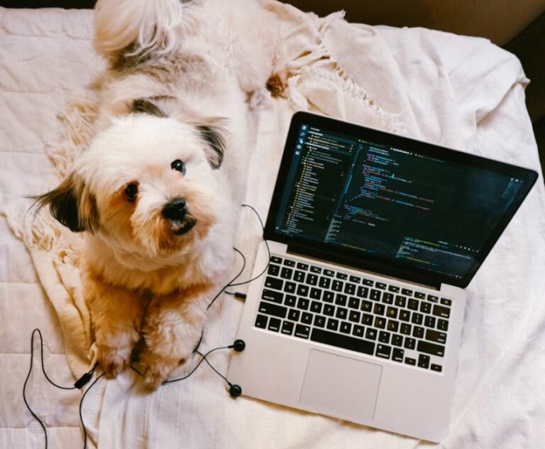 Doge Software Licenses Audit HUD: A Comprehensive Guide to Compliance and Security Doge Software Licenses Audit HUD