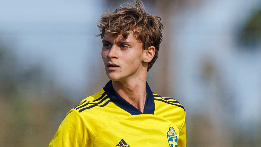 Maximilian Ibrahimović